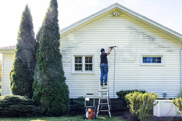 Best Roof Pressure Washing  in Jennings, MO